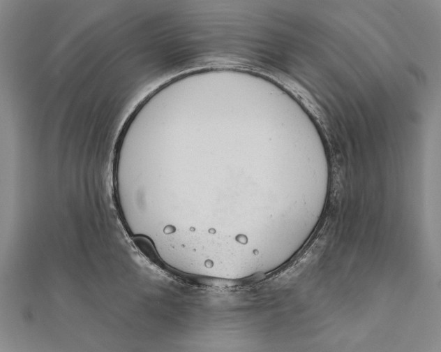 X0000110960904200907101325