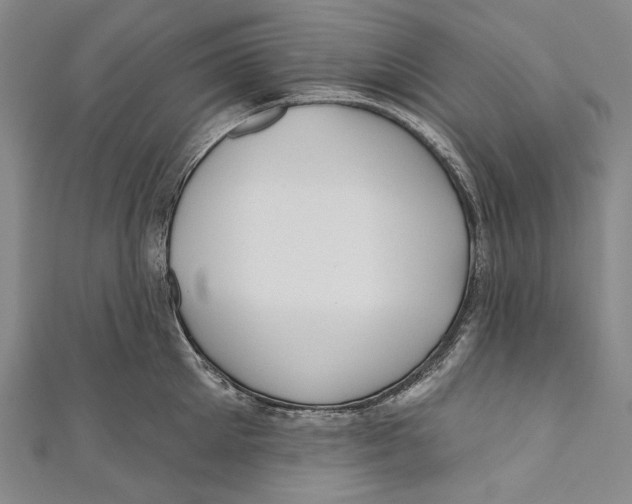 X0000110960905200907101325