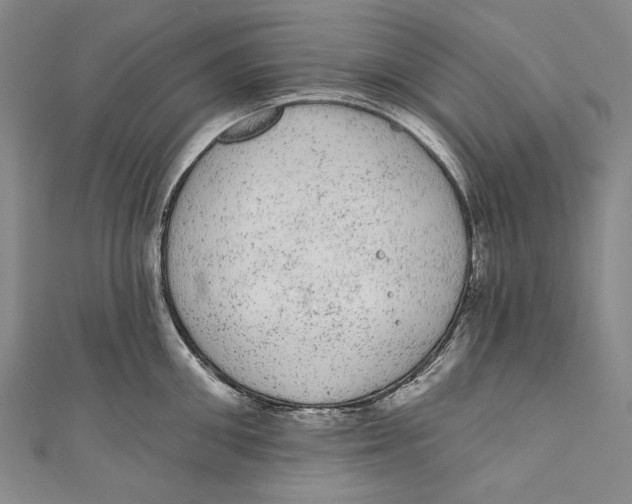 X0000110960906200907101325