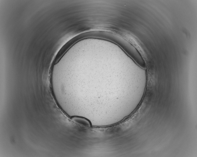 X0000110960908200907101325