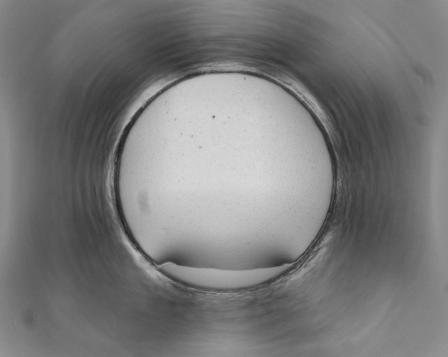 X0000110960909200907101325