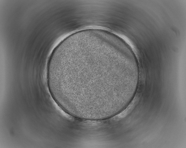 X0000110960910200907101325