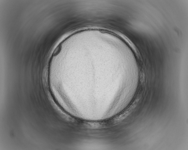 X0000110960911200907101325