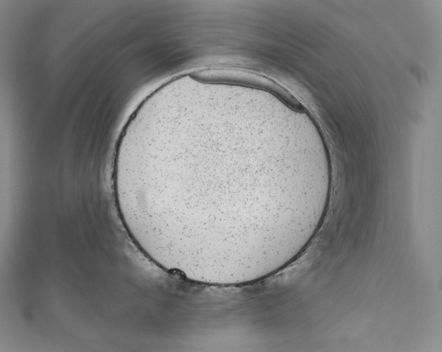 X0000110960912200907101325