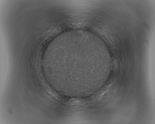 X0000110960913200907101324