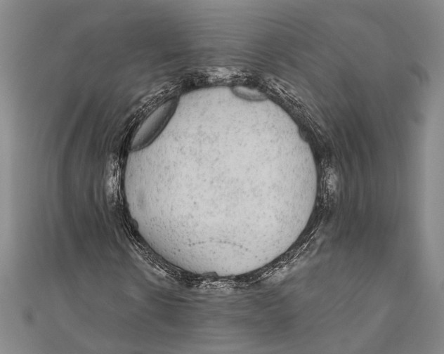 X0000110960914200907101324