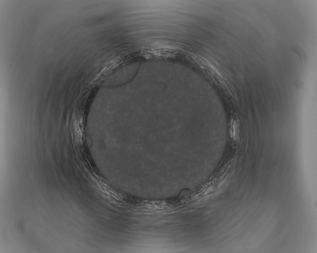 X0000110960915200907101324