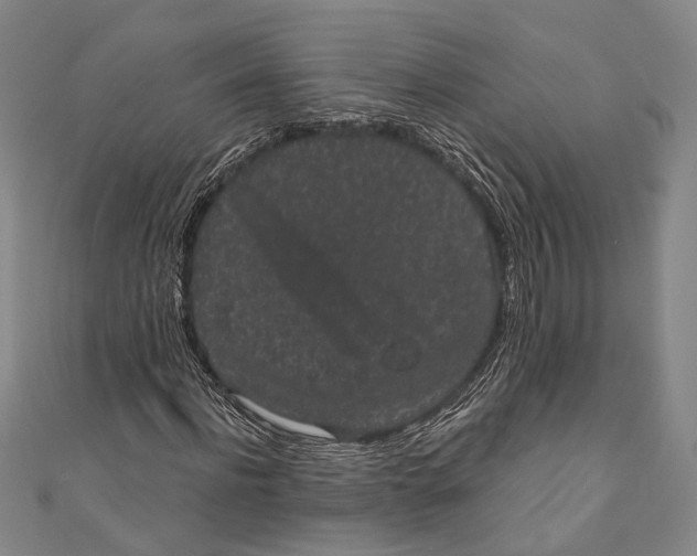 X0000110960916200907101324