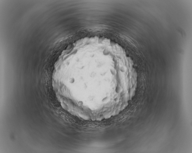 X0000110960917200907101324