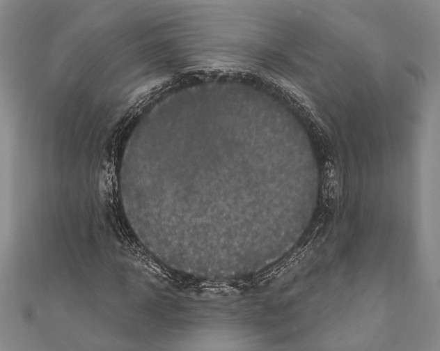 X0000110960918200907101324