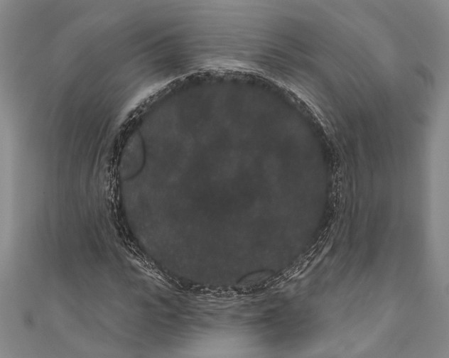 X0000110960919200907101324