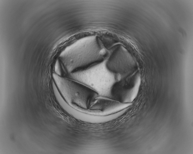 X0000110960920200907101324