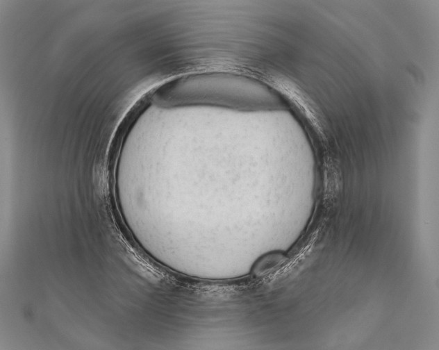 X0000110960924200907101324