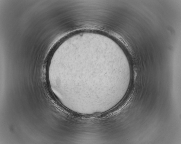 X0000110960926200907101324