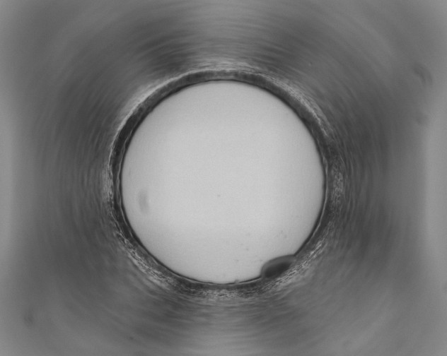 X0000110960927200907101324