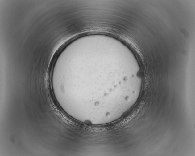 X0000110960928200907101324