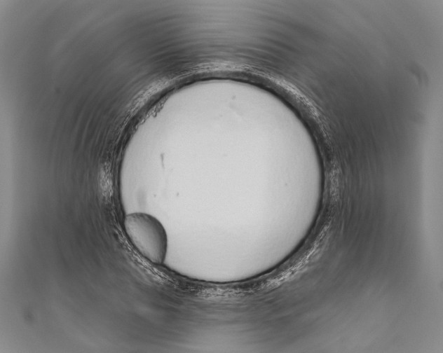 X0000110960929200907101324