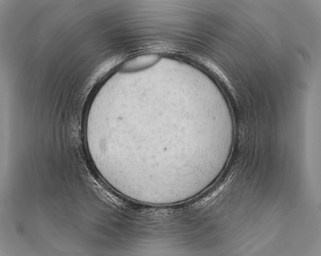 X0000110960930200907101324