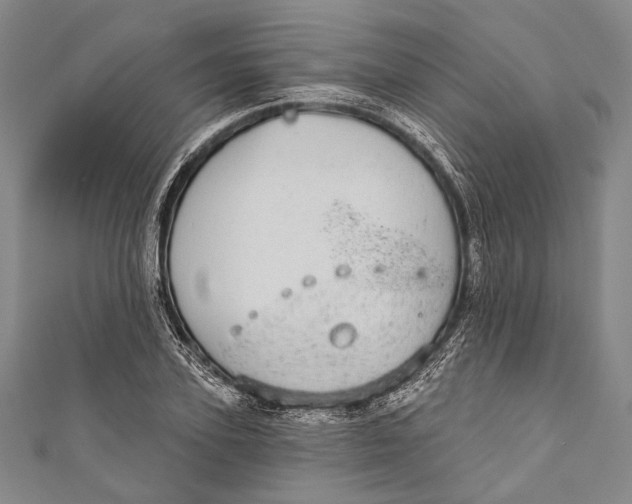 X0000110960931200907101324