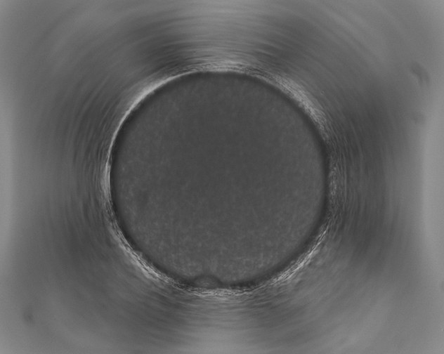 X0000110960932200907101324