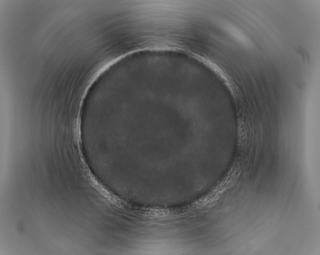 X0000110960935200907101324