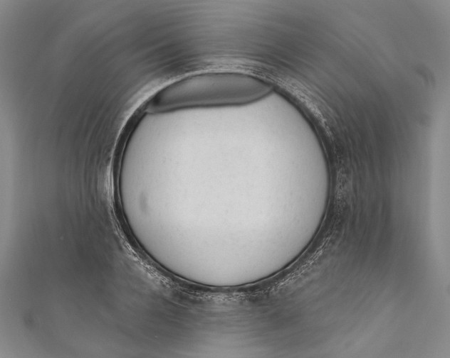 X0000110960936200907101324