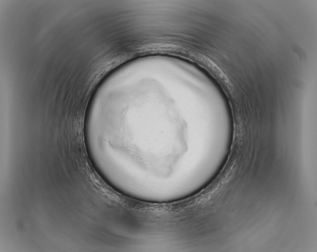 X0000110960937200907101324