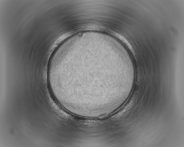 X0000110960938200907101324