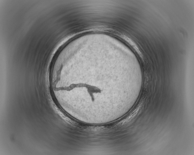 X0000110960939200907101324