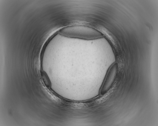 X0000110960940200907101324