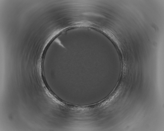 X0000110960941200907101324