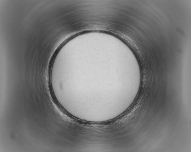 X0000110960942200907101324