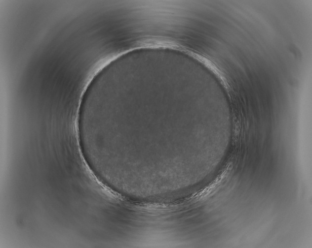 X0000110960943200907101324