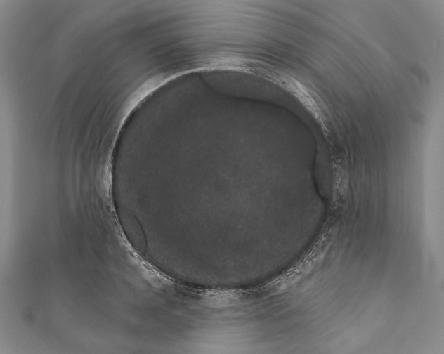 X0000110960944200907101324