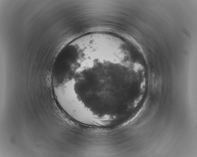 X0000110960945200907101324