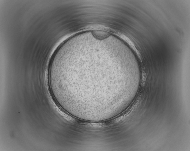 X0000110960947200907101324