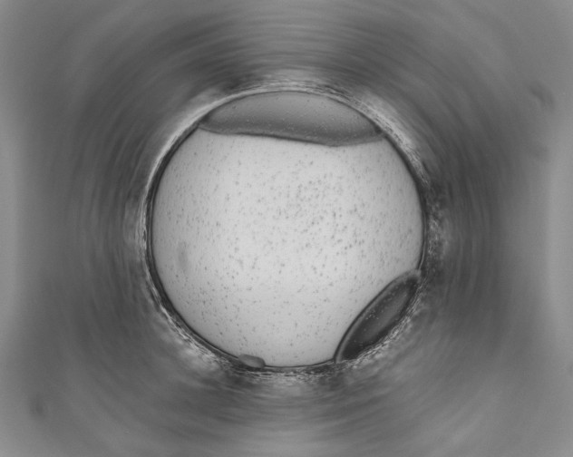 X0000110960948200907101325