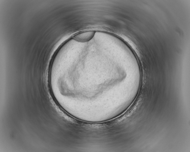 X0000110960949200907101325