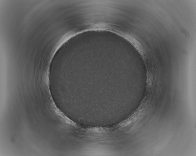 X0000110960950200907101325