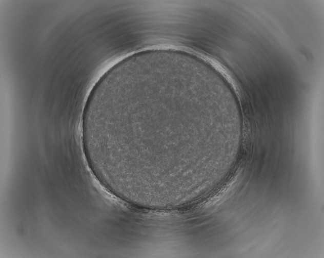 X0000110960951200907101325