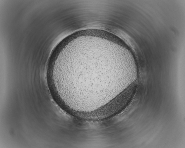 X0000110960952200907101325