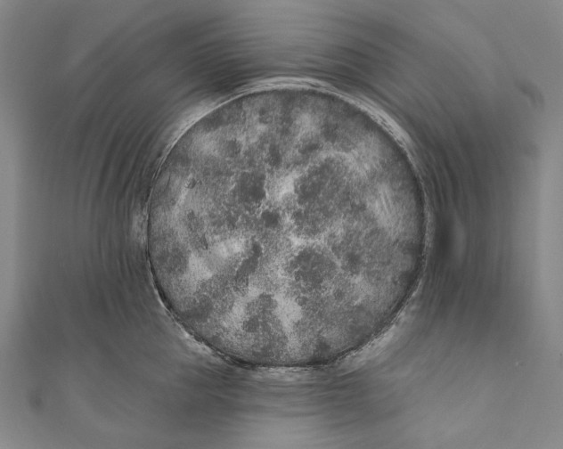 X0000110960953200907101325