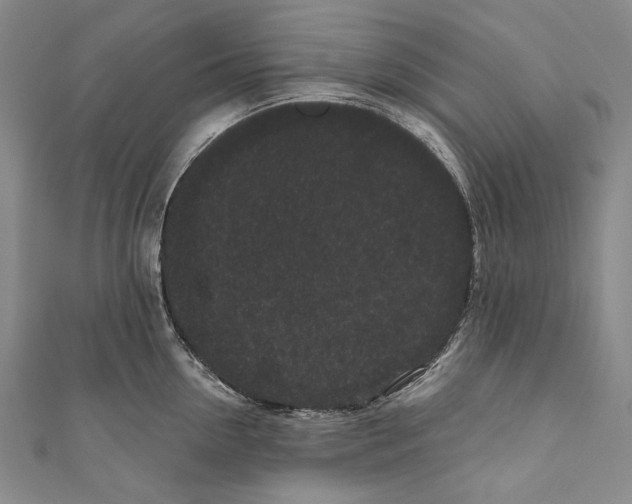 X0000110960954200907101325