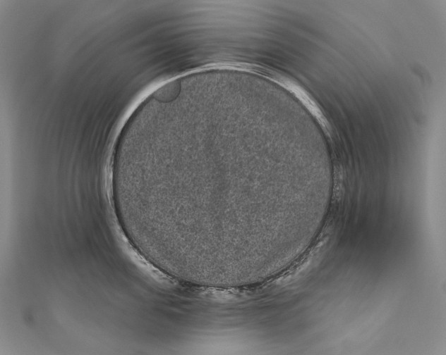 X0000110960955200907101325