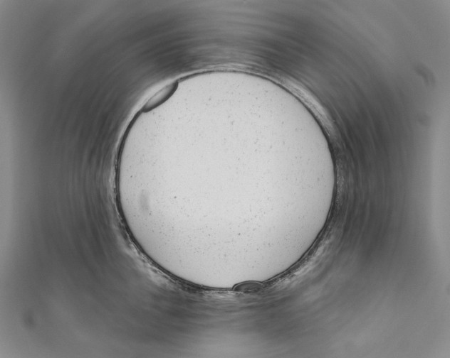 X0000110960956200907101325