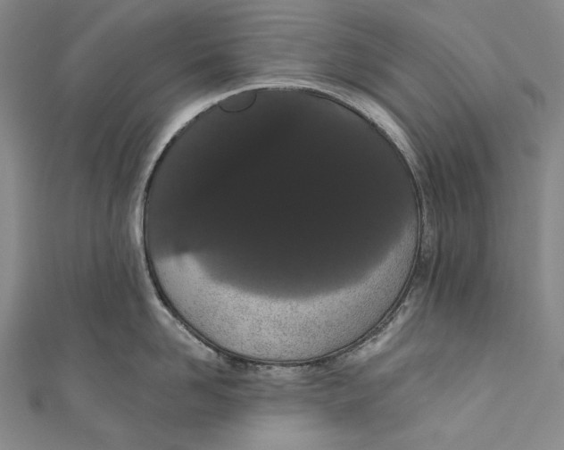 X0000110960958200907101325