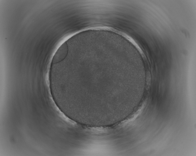 X0000110960959200907101325