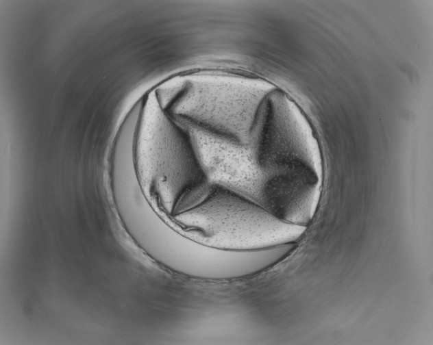 X0000110960960200907101325