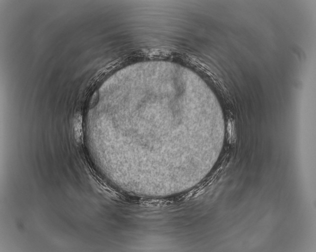 X0000110960963200907101324