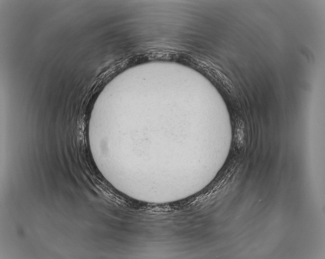 X0000110960964200907101324